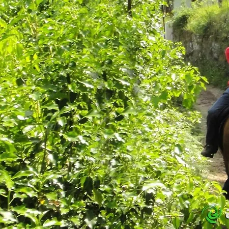 Vakantiehuis Stone House National Park