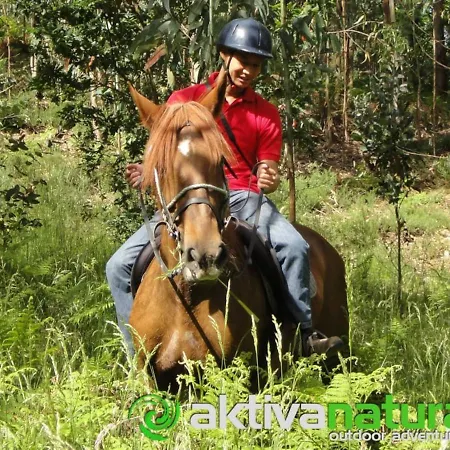 Vakantiehuis Stone House National Park