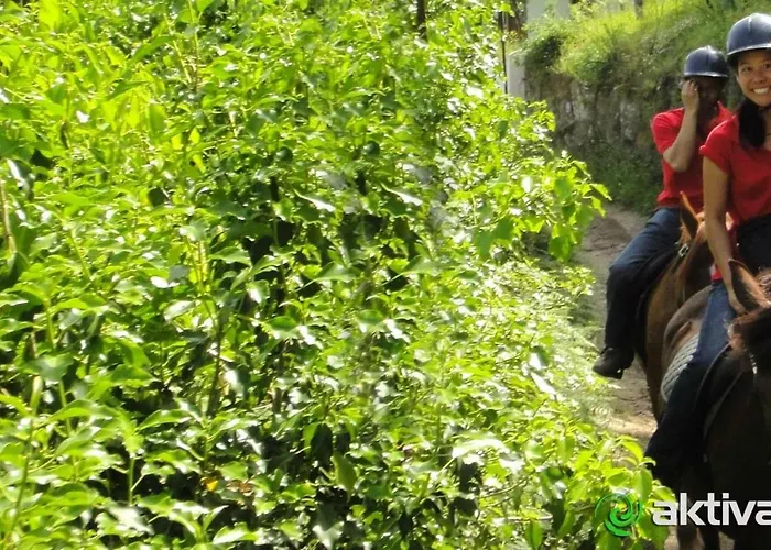 Ferienhaus Stone House National Park