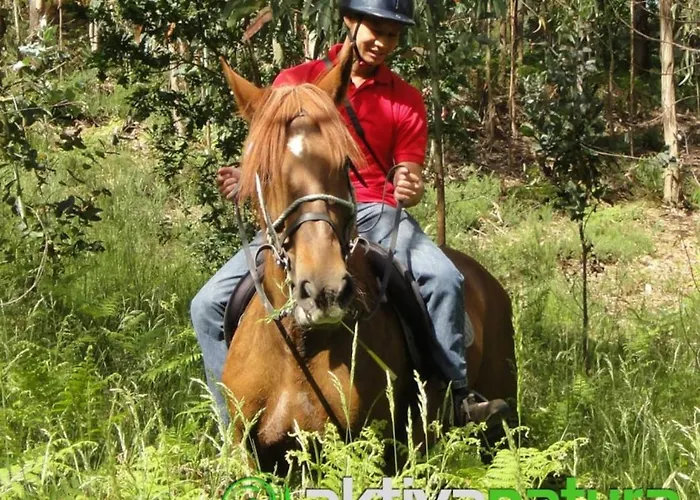 Ferienhaus Stone House National Park